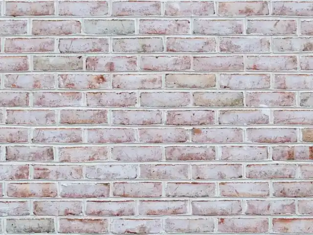 Close-up of whitewashed brick showing the texture